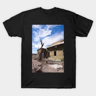 Abandoned T-Shirt